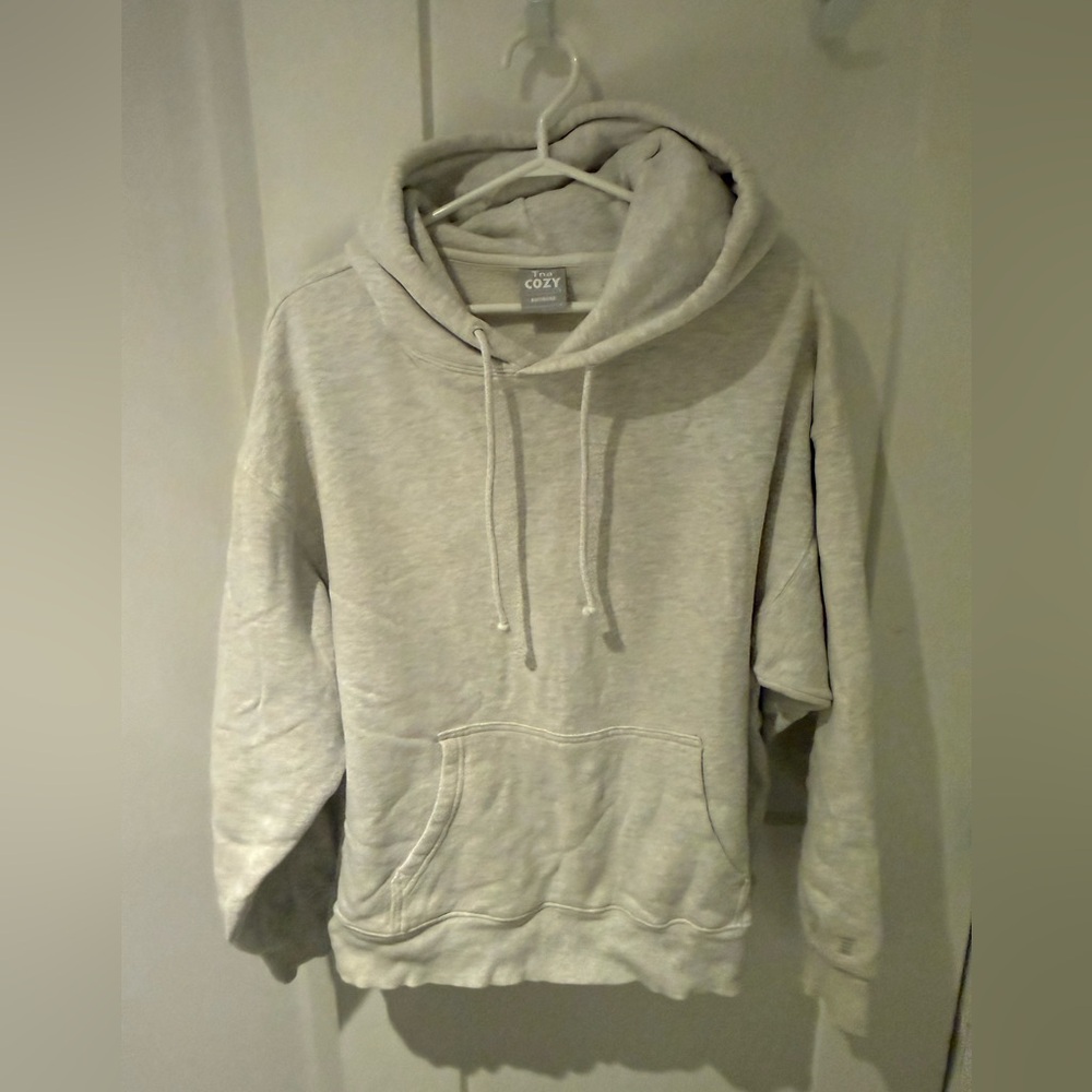 210-EUC TNA Cozy Fleece Boyfriend Light Gray Hoodie